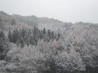 初雪_s.jpg