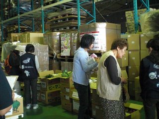 201106 倉庫保管の宮崎野菜.jpg