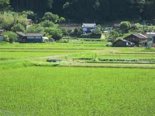 田園風景_s.jpg